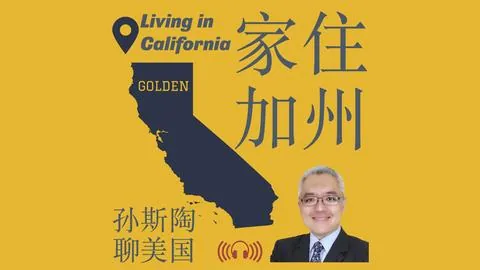 “早田希娜：日本乒坛之光，携手强手共攀高峰追梦”